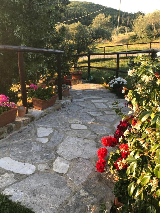 Salto Di Gatto Vila Castellina in Chianti Exterior foto
